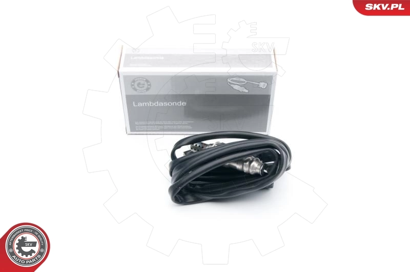 Oxygen Sensor
